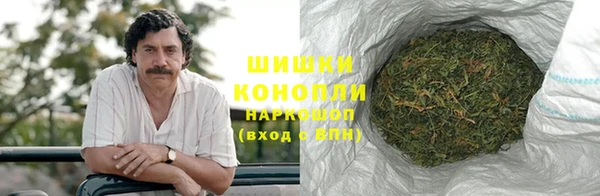сатива Абдулино