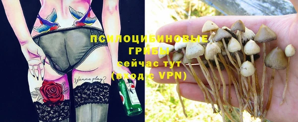 сатива Абдулино