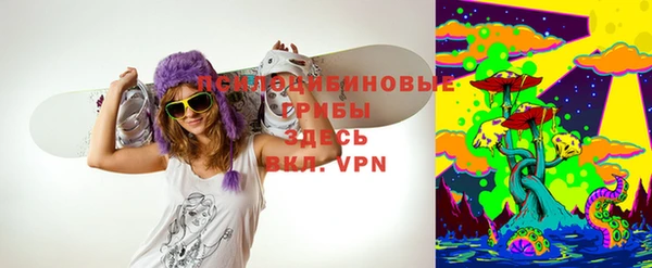 стафф Абинск