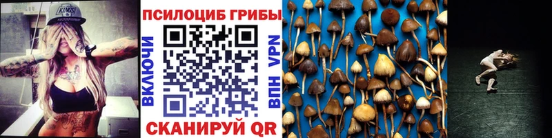 Псилоцибиновые грибы мицелий  Истра 